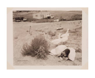 Photo of a small person under a blanket and near geese in a barren landscape