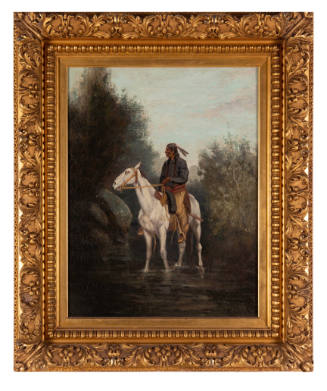 Indian On White Horse Standing In Stream