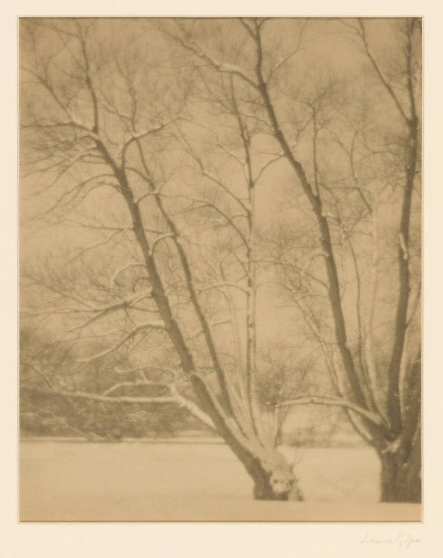 Greyscale, soft-focus photograph of a winter landscape featuring two thin, leafless trees coate…