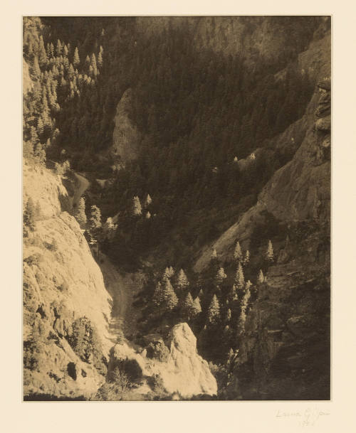 Greyscale photograph of a dirt road in a canyon filled with coniferous trees from bird's-eye vi…