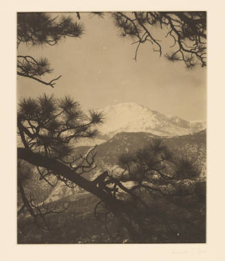 Greyscale photograph of a snowy mountain top seen through the branches of a pine tree